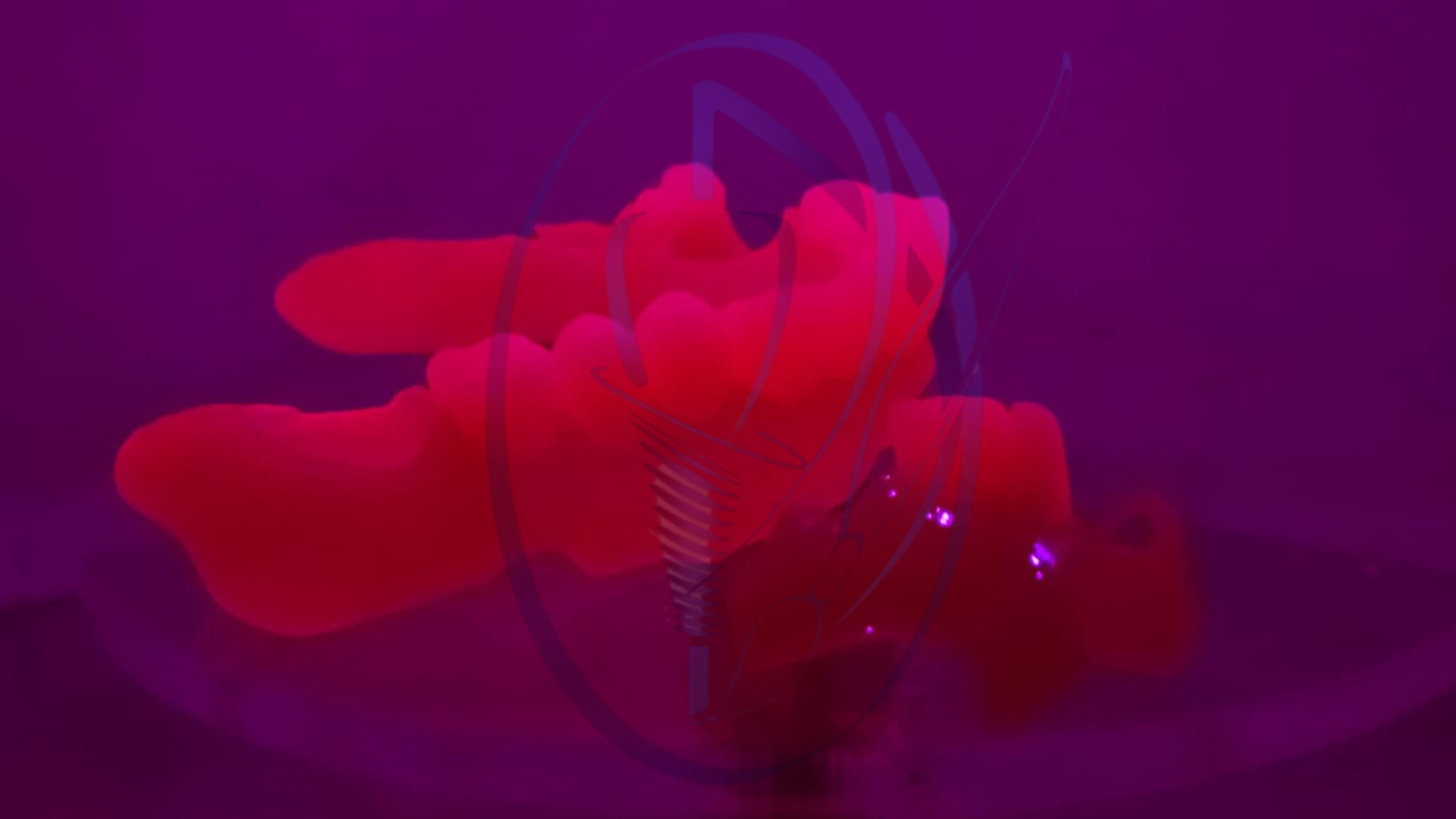 Procedimiento en curso